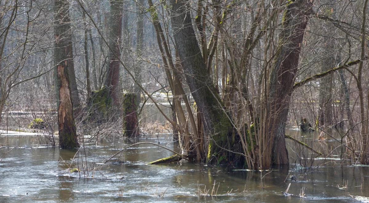 Nowe mapy zagrożenia powodziowego obejmą 350 rzek więcej, niż obecne