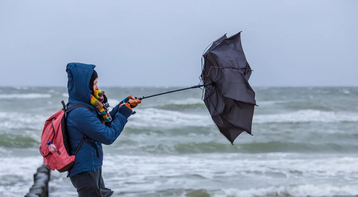 Silny wiatr na północy kraju. IMGW wydał ostrzeżenie pierwszego stopnia