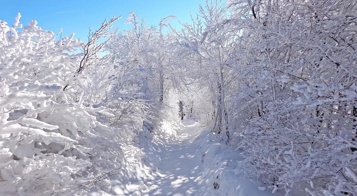 Bieszczady: drugi stopień zagrożenia lawinowego, wiele szlaków nadal niedostępnych