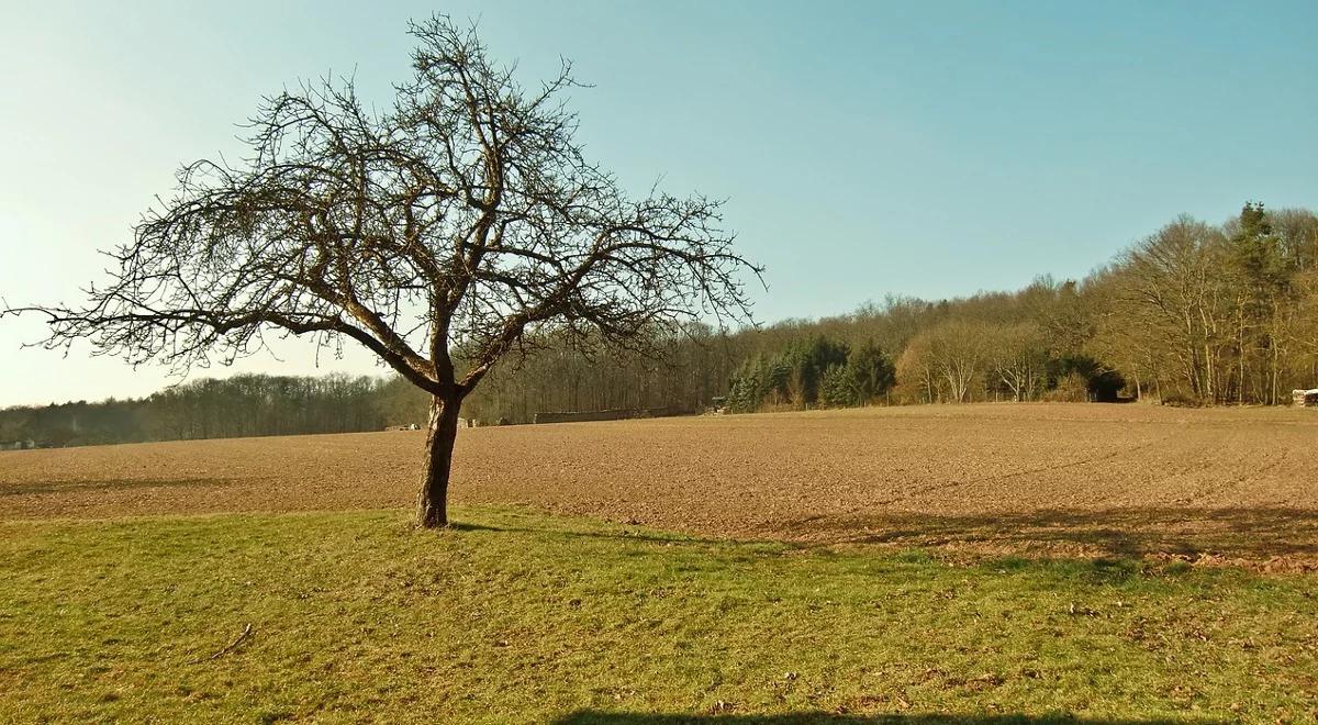 Ograniczenia obrotu ziemią rolną do zmiany?