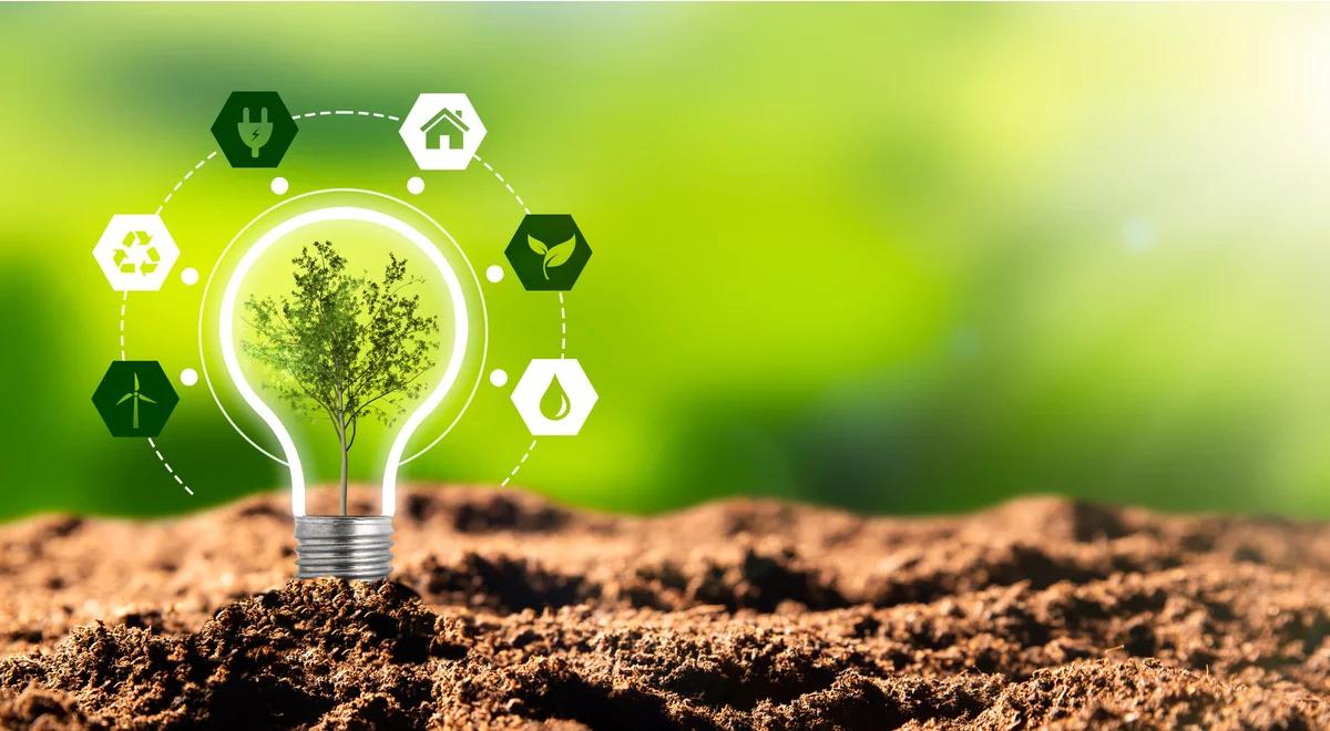 Eksperci: w transformacji energetycznej dla Polski kluczowy jest czas jej realizacji