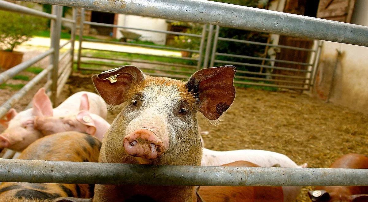 Spółka Agri Plus odbierała rolnikom rekompensaty przyznane przez państwo. UOKiK wymierzył solidną karę