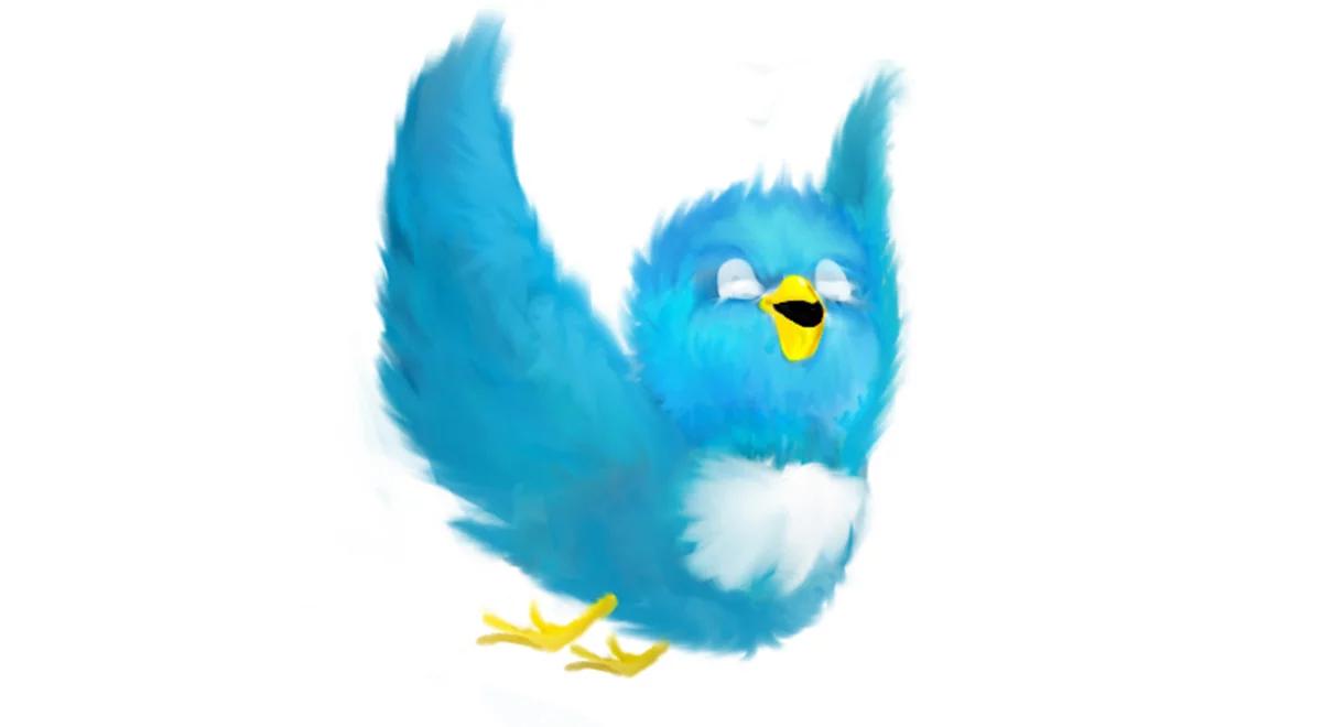 Wiek oświecenia i dyplomacja Twitterowa    