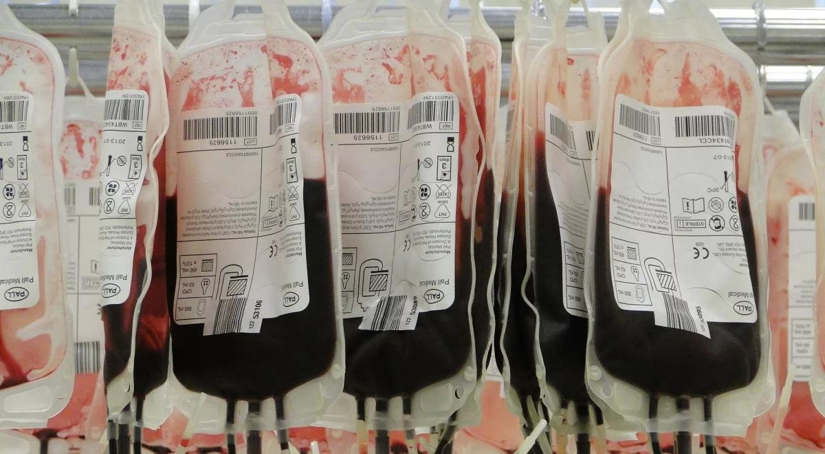 Terapia osoczem ozdrowieńców dla pacjentów z COVID-19. Prof. Radziwon wyjaśnia, na czym polega 