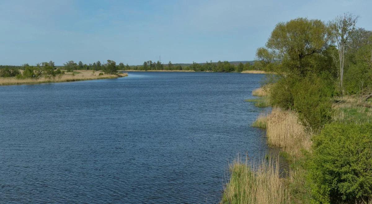 Polska zyska nowy park narodowy. Jakie tereny znajdą się pod ochroną?