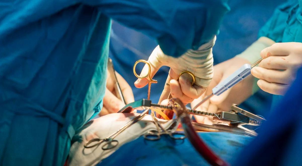 Gdy liczy się każda minuta. Organ Care System zmienia reguły w transplantologii serca