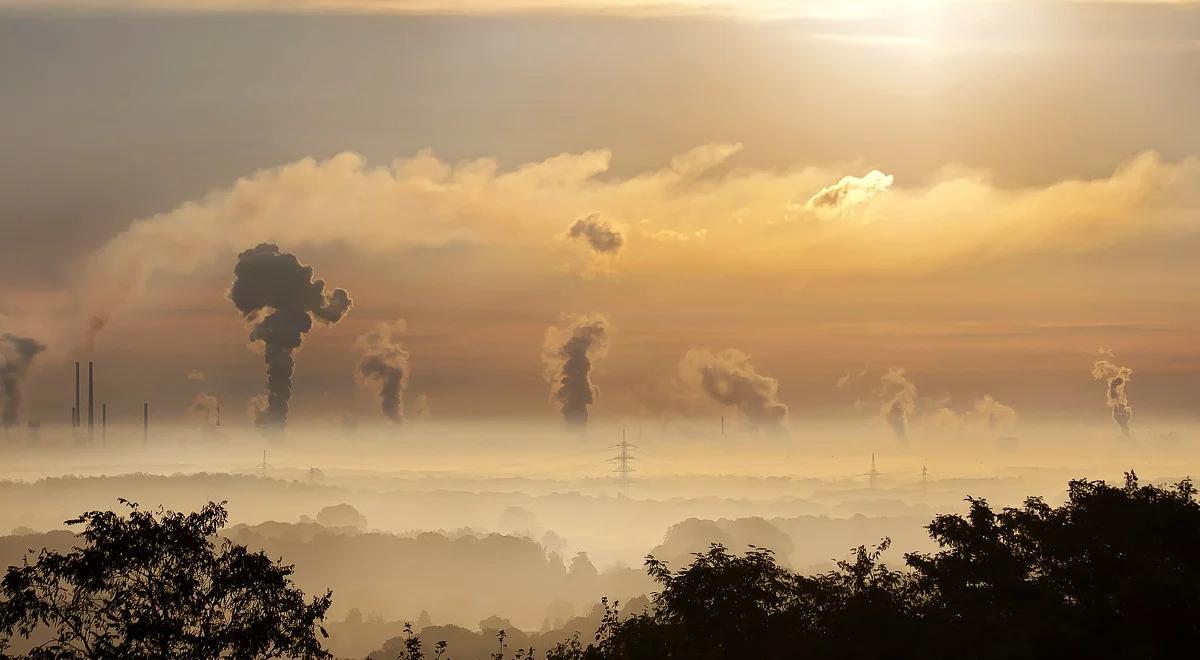 Smog w Krakowie: pięciokrotne przekroczenie normy. W sobotę komunikacja miejska za darmo