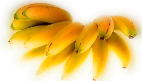 CBŚ przechwyciło 50 kg kokainy ukrytej...w bananach