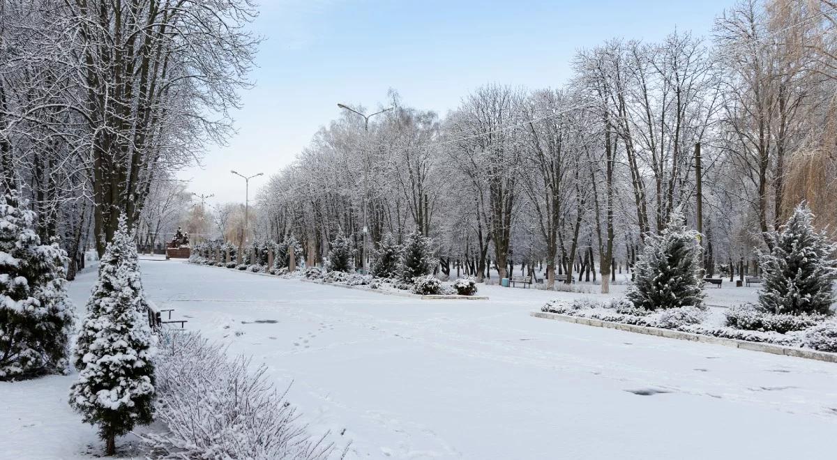 Mroźno, śnieżnie i słonecznie. Sprawdź prognozę pogody na środę