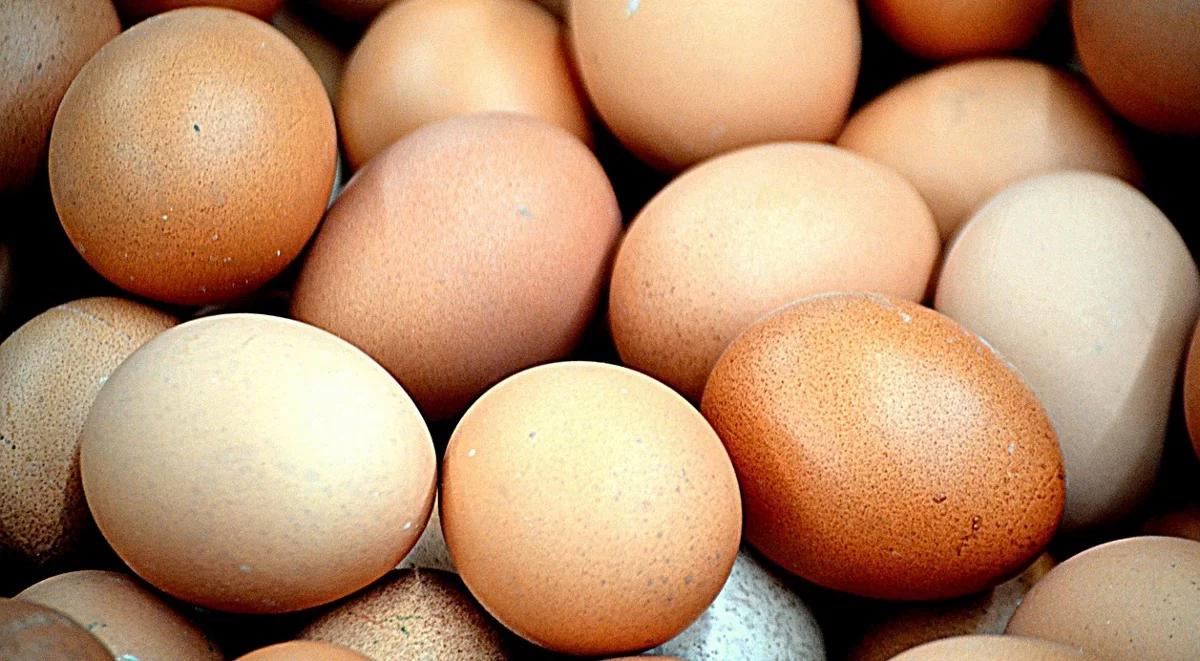 Produkujemy 9,5 mld sztuk jaj rocznie