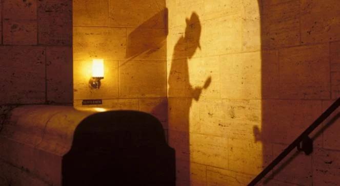 Okradł dom, a potem wskazał groźnego pedofila