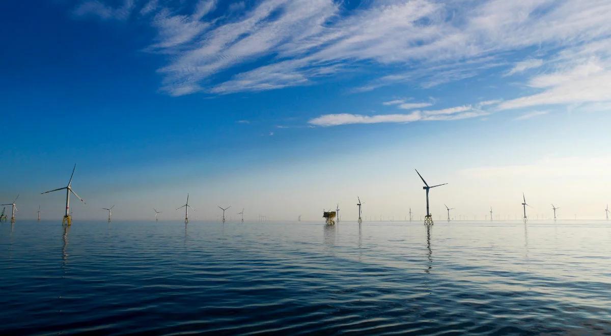 Ekspert: inwestycje w farmy wiatrowe na morzu szansą dla polskiej energetyki