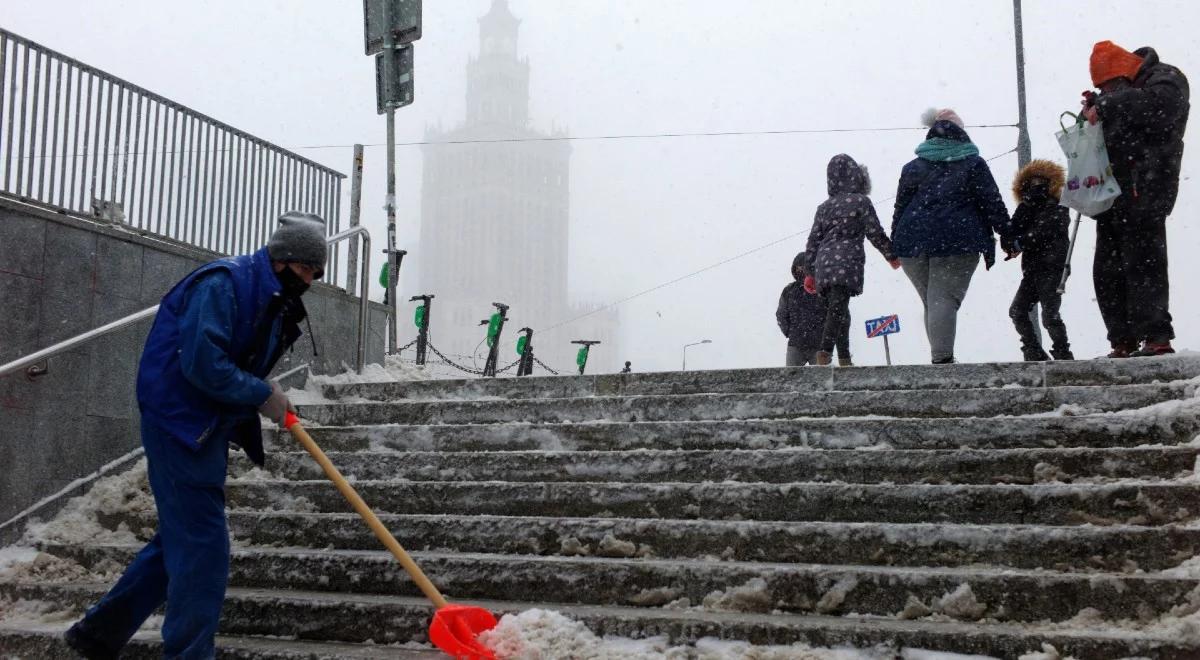 "Robimy kawowy pilotaż". Fusy zamiast soli i piasku na chodnikach Warszawy. Czy to dobry pomysł?