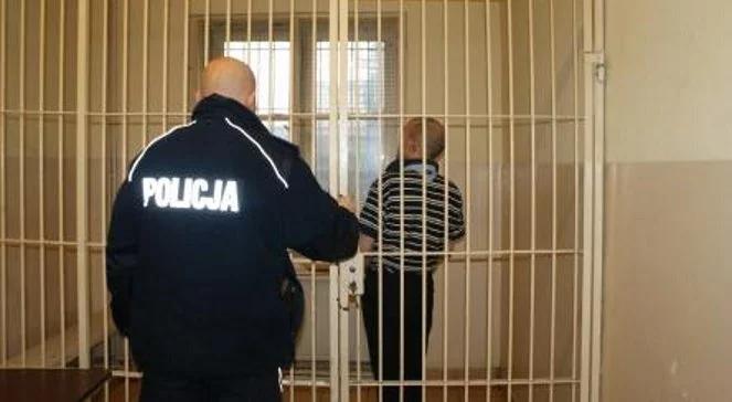 Łęczyca: strzelił do policjanta z wiatrówki