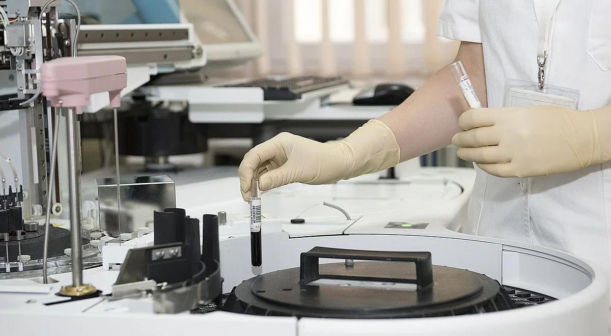 Czy Polacy wynajdą szczepionkę przeciw ASF? W laboratoriach praca wre