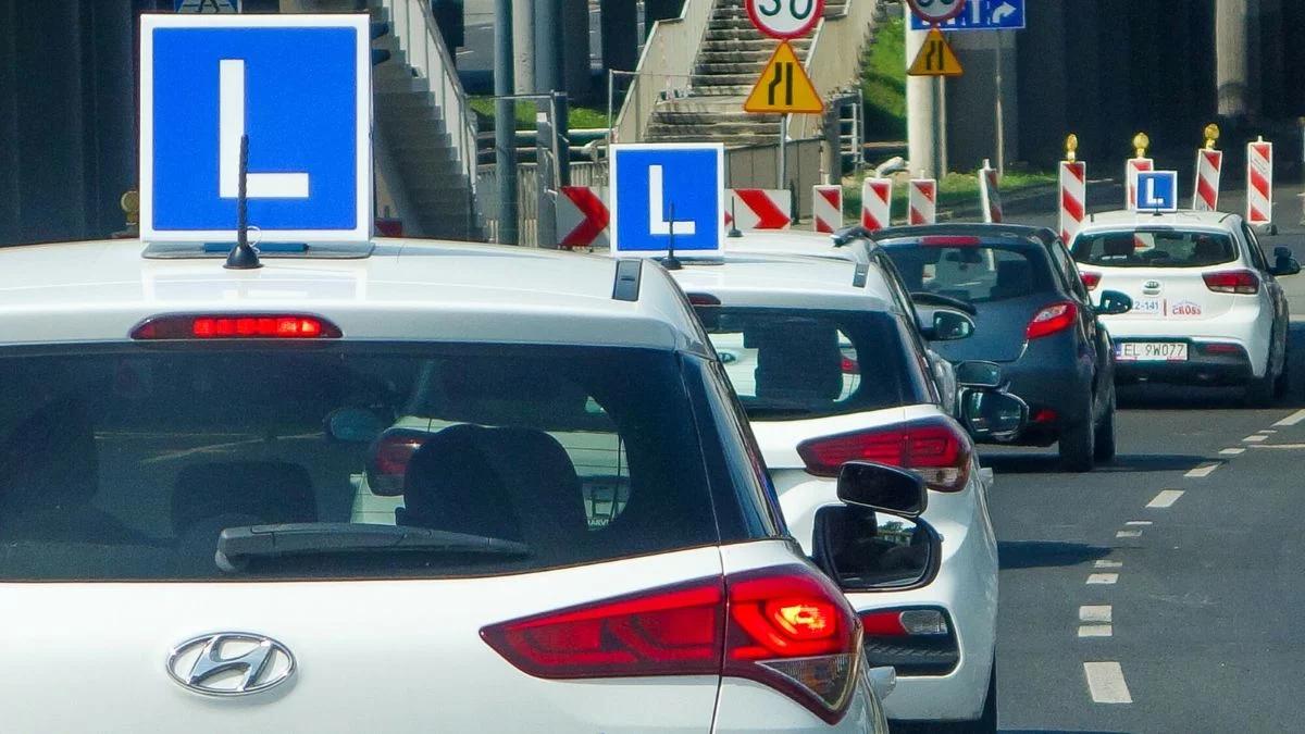 Prawo jazdy dla 17-latków. Rząd przyjął rewolucyjne przepisy
