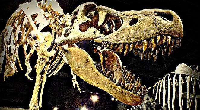 To najstarszy dinozaur? Nyasasaurus parringtoni