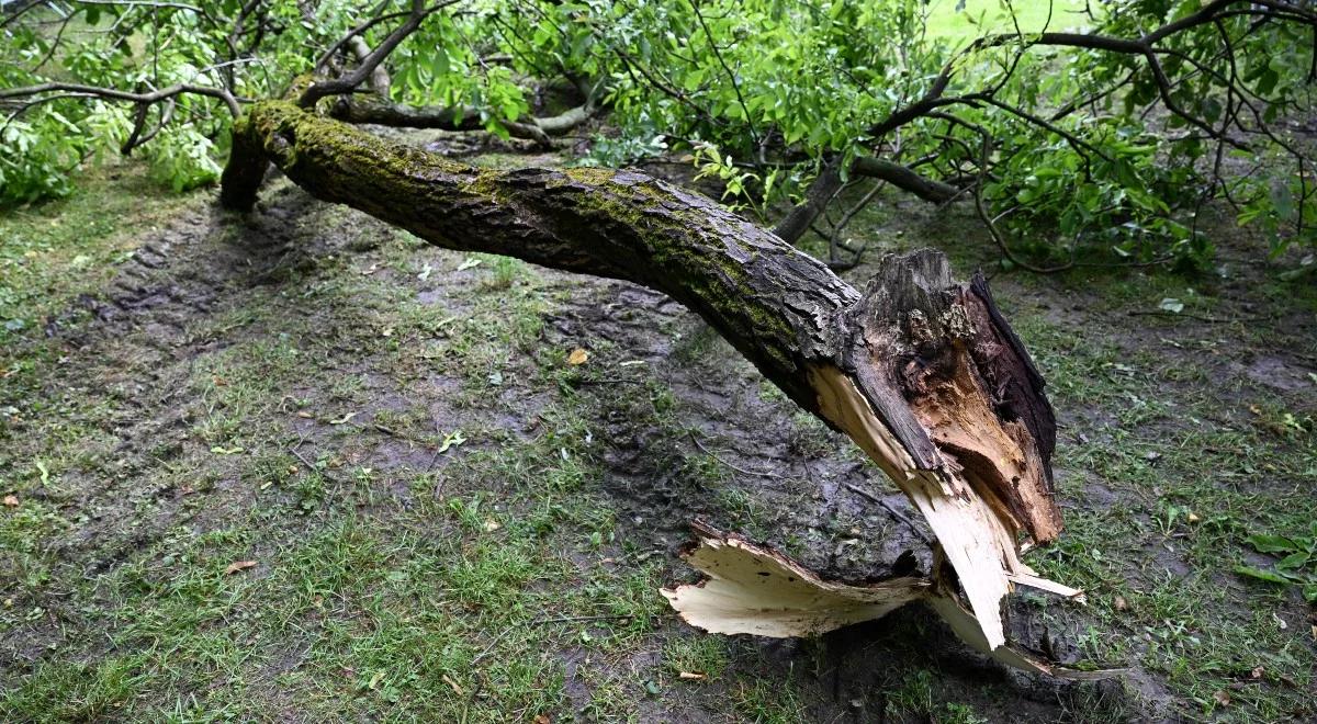 Intensywna niedziela dla strażaków. Ponad 2,5 tys. interwencji. Poniedziałek przyniesienie uspokojenie 