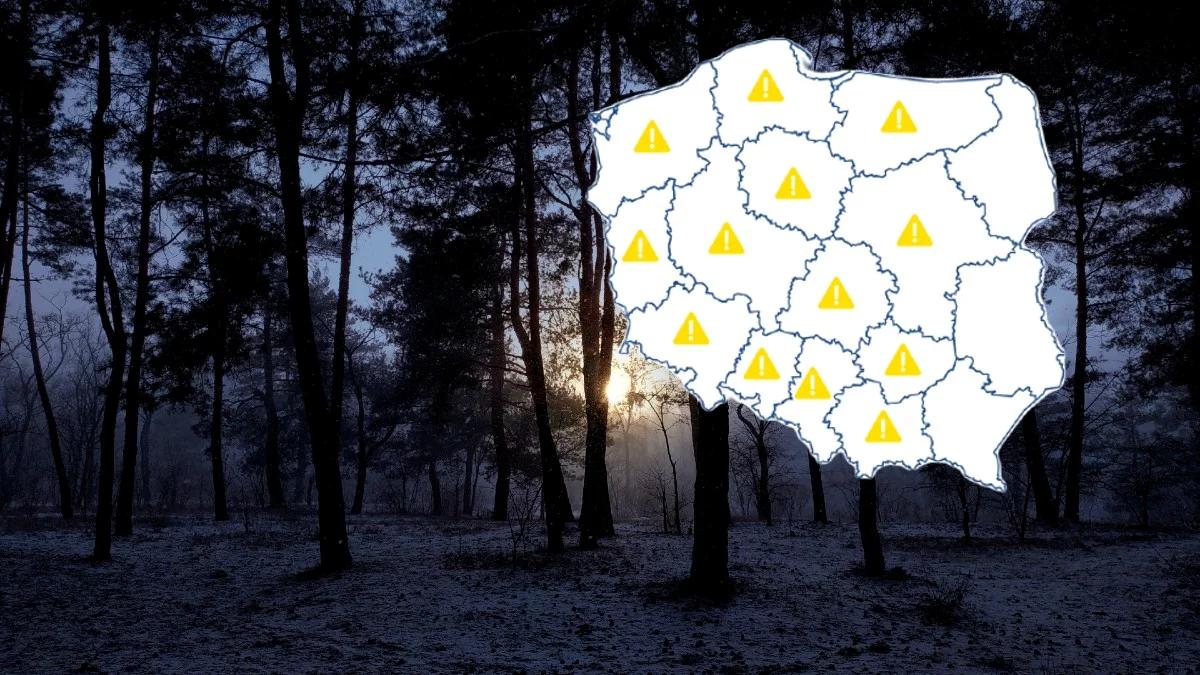 Noc z przymrozkami. Ostrzeżenia IMGW dla dużej części kraju. Spadnie też śnieg