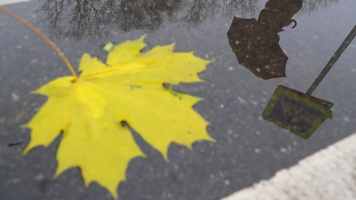 Dziś niebo zasnute chmurami. Na południu cieplej, ale deszczowo