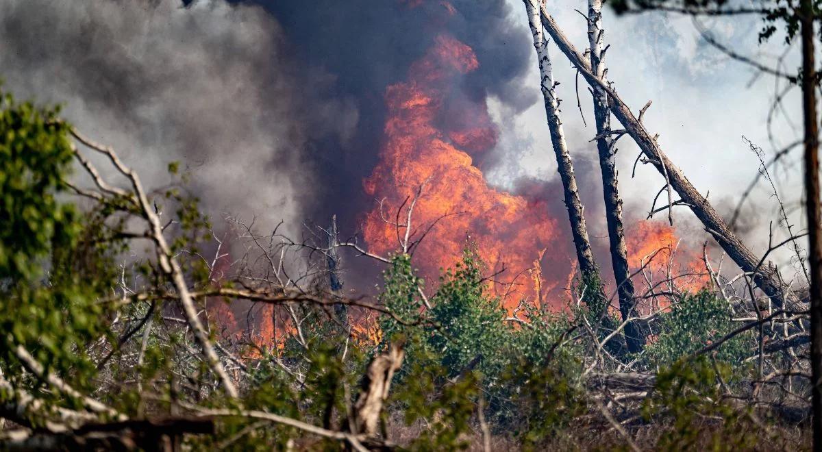 Ogromny pożar w Brandenburgii wymyka się spod kontroli. "Sytuacja jest krytyczna"