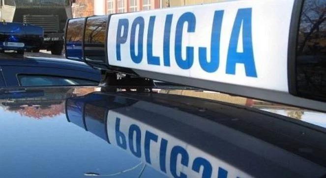 Łódź: wszedł do piwnicy za kotem, znalazł zmumifikowane ciało