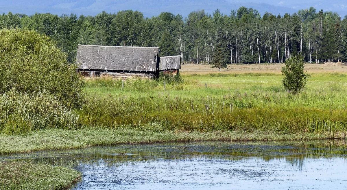 Zapowiada się pogodny weekend, tylko miejscami przelotne opady deszczu i burze