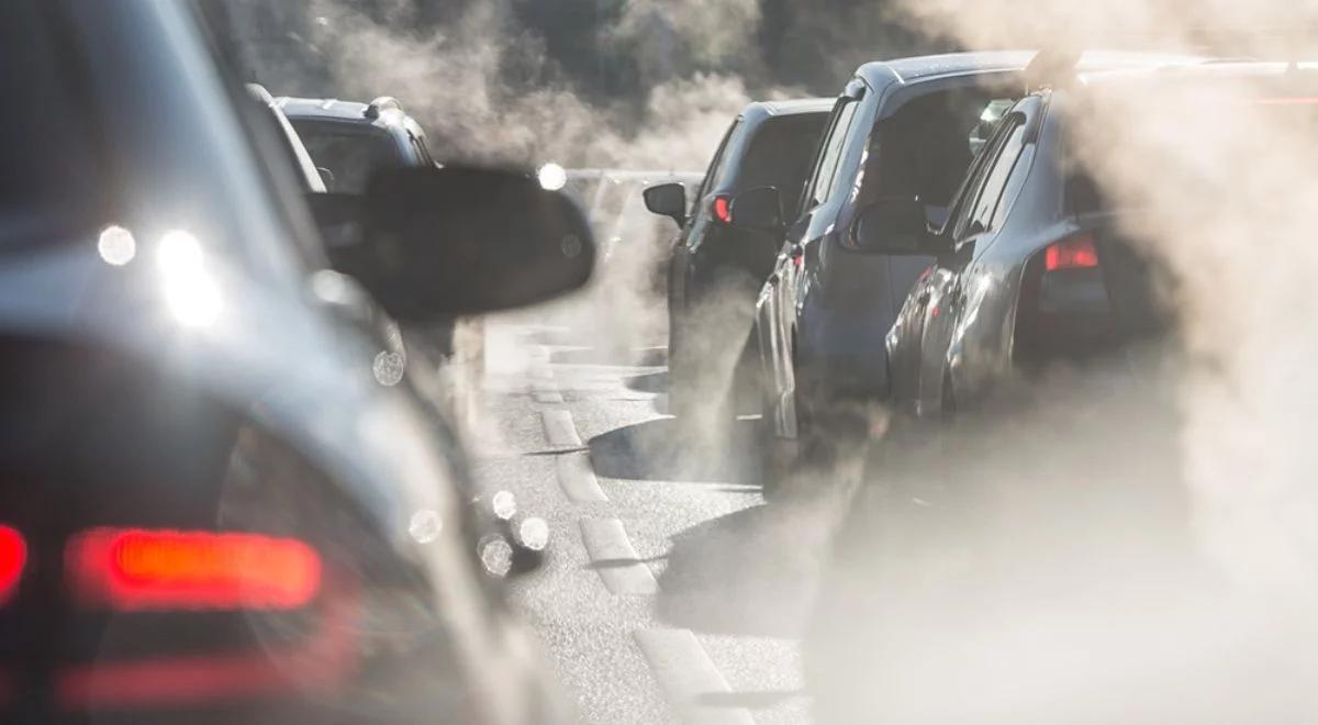 Strefy Czystego Transportu pomogą w ograniczeniu importu starych aut