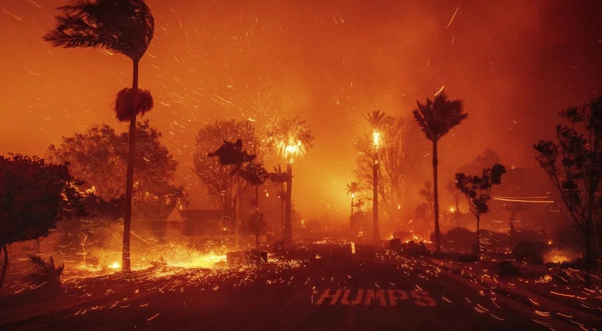 Naukowcy już wiedzą, co doprowadziło do niszczycielskich pożarów w Los Angeles