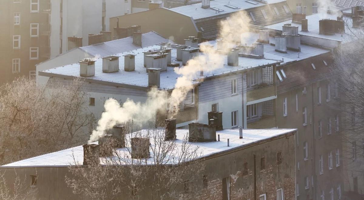 Smog zabójczy dla płuc. "Pojawiały się »piki« śmiertelności"