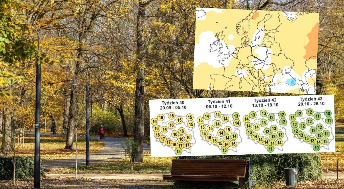 Pierwsze prognozy na październik. Jaką pogodę przyniesie jesień?