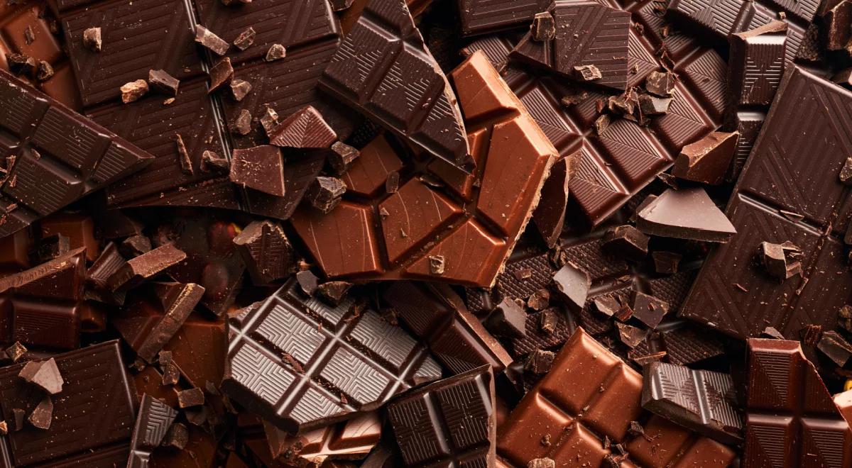 Wynalazek Szwajcarów zrewolucjonizuje rynek? Ekologiczna czekolada z odpadów kakaowca