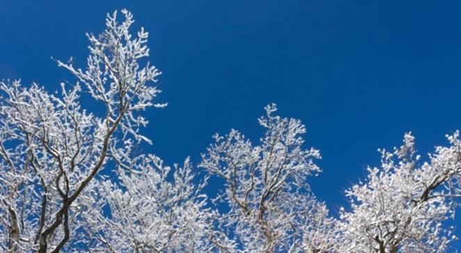 Ochłodzenie i deszcz ze śniegiem. Pogoda na święta