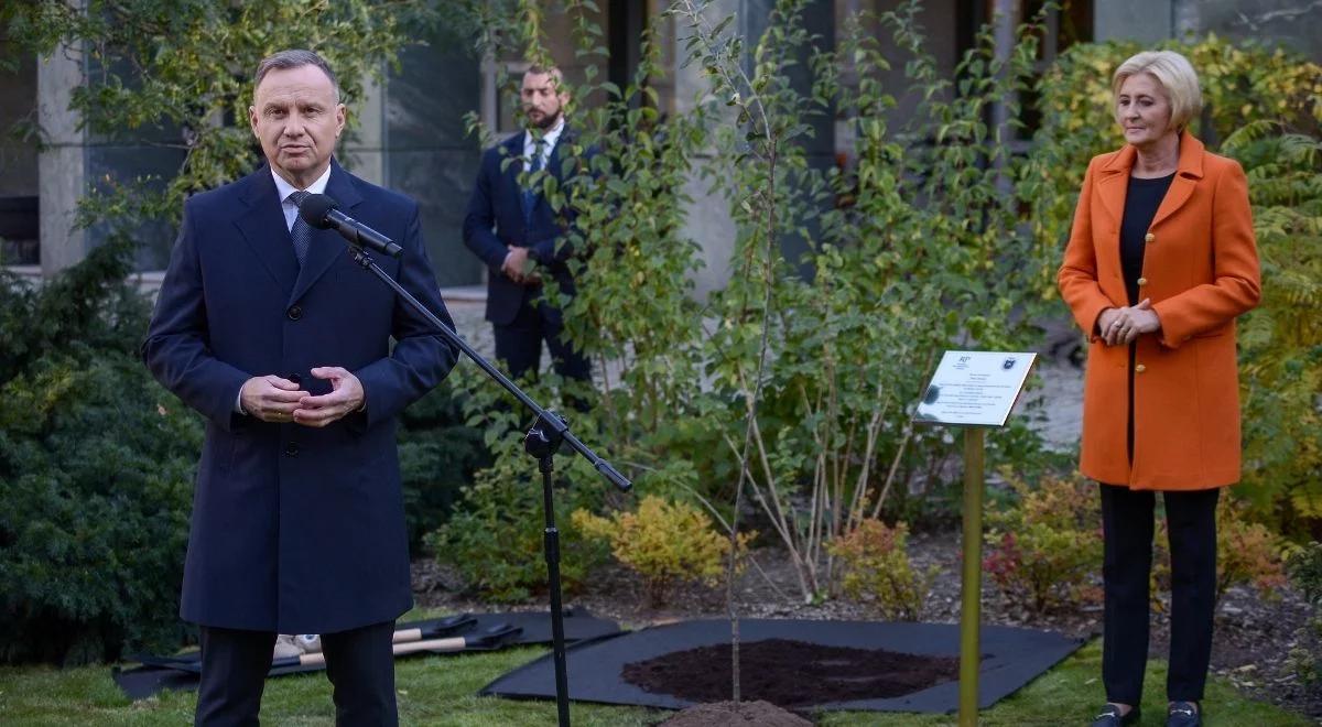 Akcja "Po owocach ich poznacie". Prezydent Duda zasadził jabłoń upamiętniającą rodzinę Ulmów