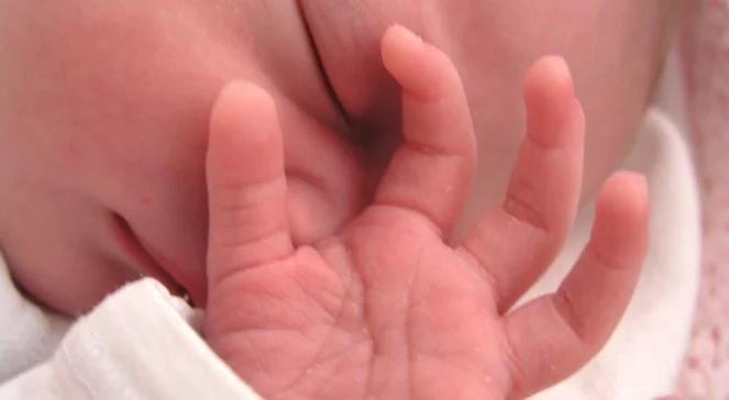 WHO: co czwarta ciąża na świecie kończy się aborcją