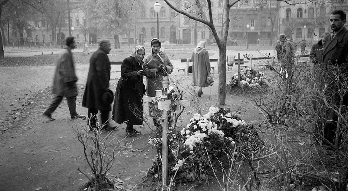 Powstanie węgierskie 1956. Ambasador Węgier w Polsce: ten rok kojarzy się nam z solidarnością z Polakami