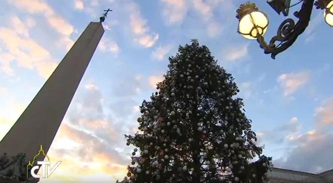 Watykan: iluminacja podarowanej papieżowi przez Polaków choinki