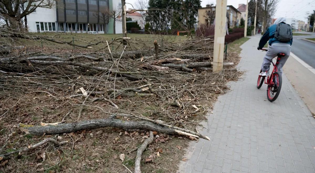 Niebezpiecznie silny wiatr. IMGW zapowiada alerty