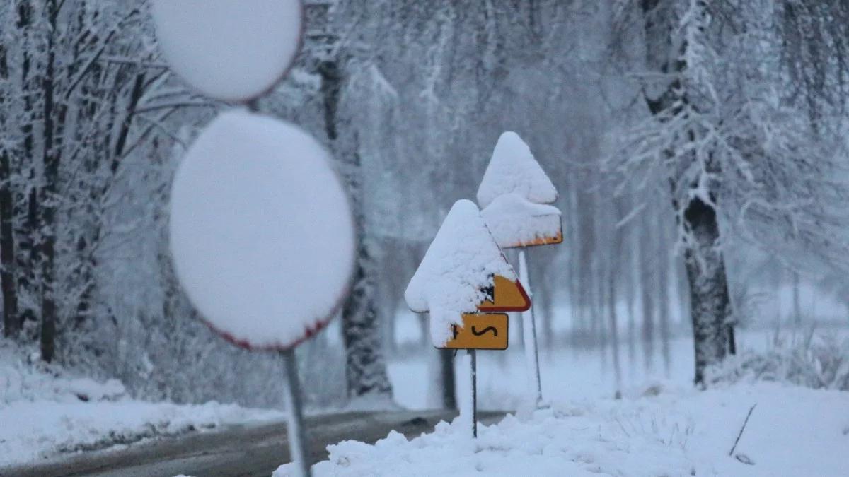 Prognoza pogody: w dzień deszcz i śnieg, w nocy mróz