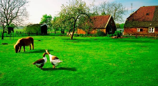 Na młodych rolników w ARiMR czekają duże pieniądze