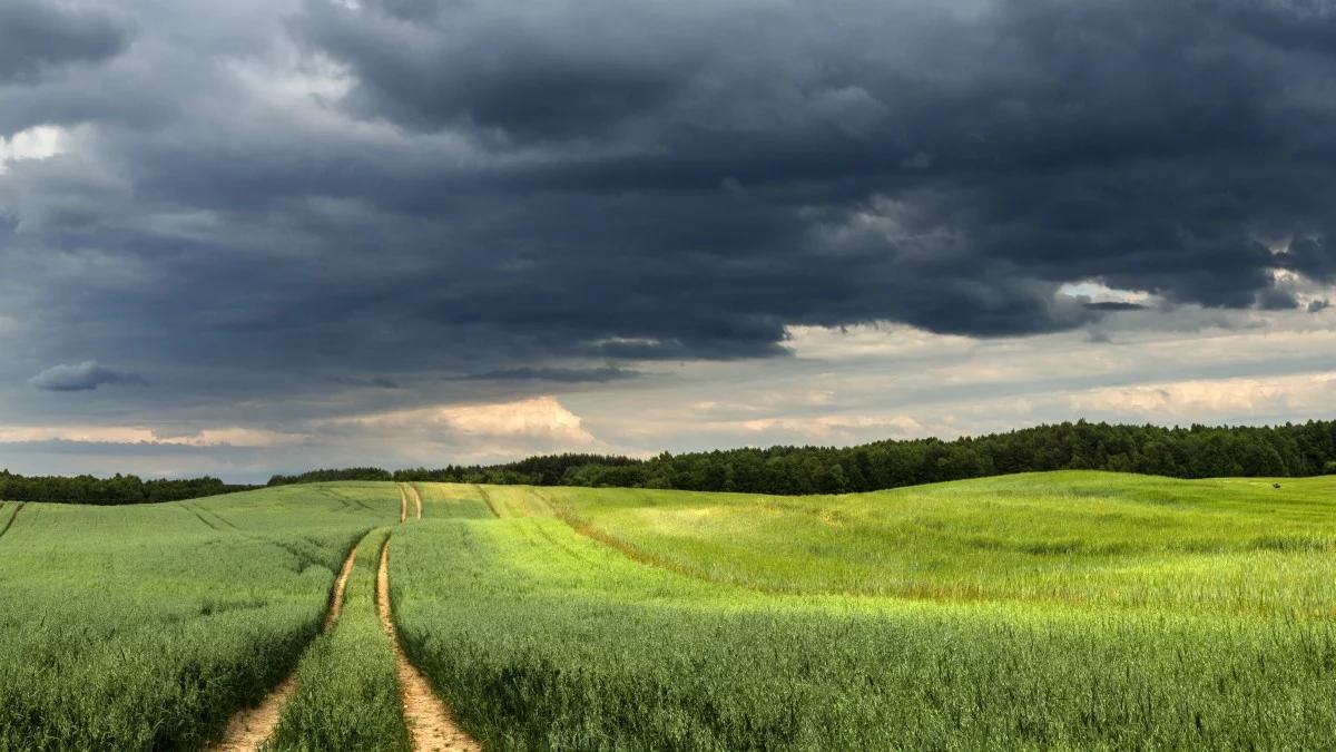 "W części kraju pojawią się chmury i deszcze". Synoptyk IMGW o wtorkowej pogodzie