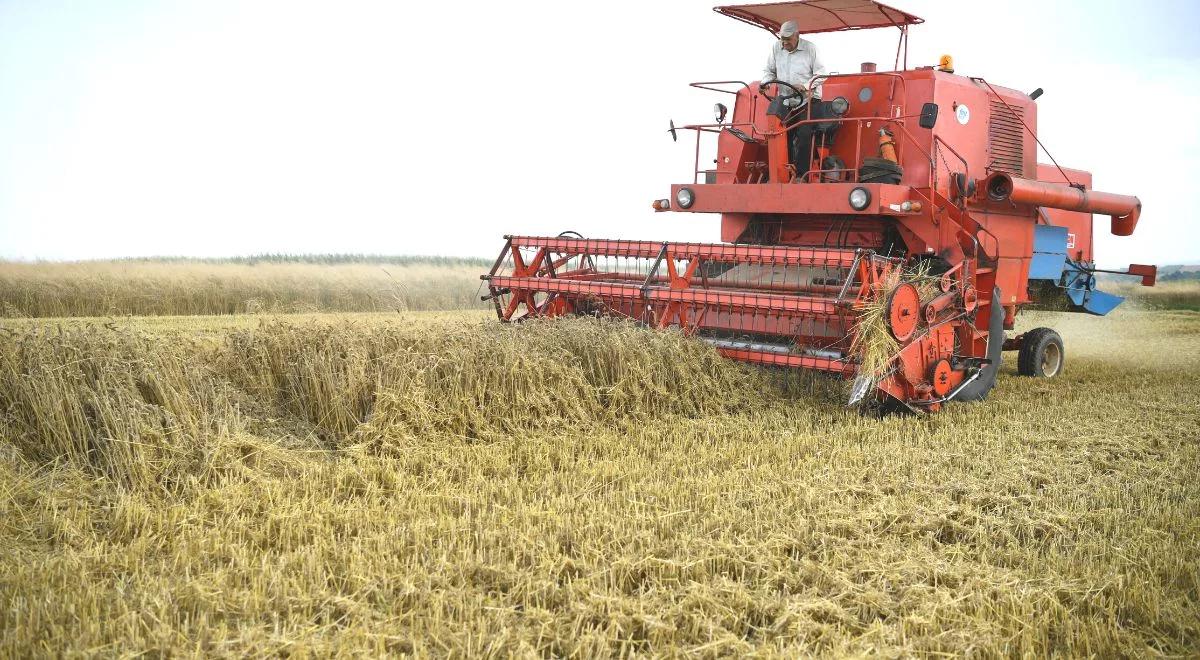 Ukraiński eksport zaszkodzi polskim rolnikom? Müller dementuje słowa Tuska: to próba wywołania konfliktów