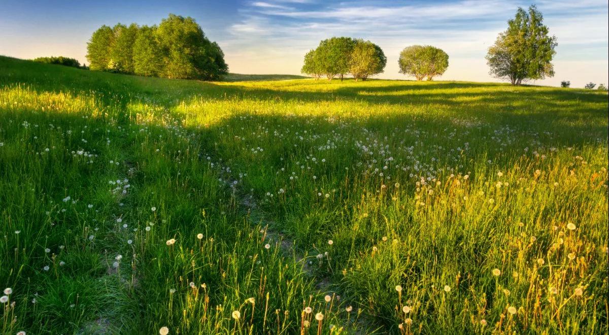 Kuchnia bardzo lokalna. Dzikie zioła dobre do wykorzystania w codziennym gotowaniu