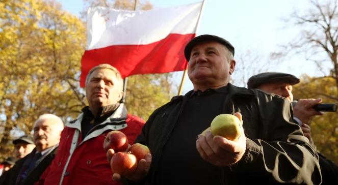 Sadownicy protestowali w centrum Warszawy. Wysypali jabłka przed KPRM