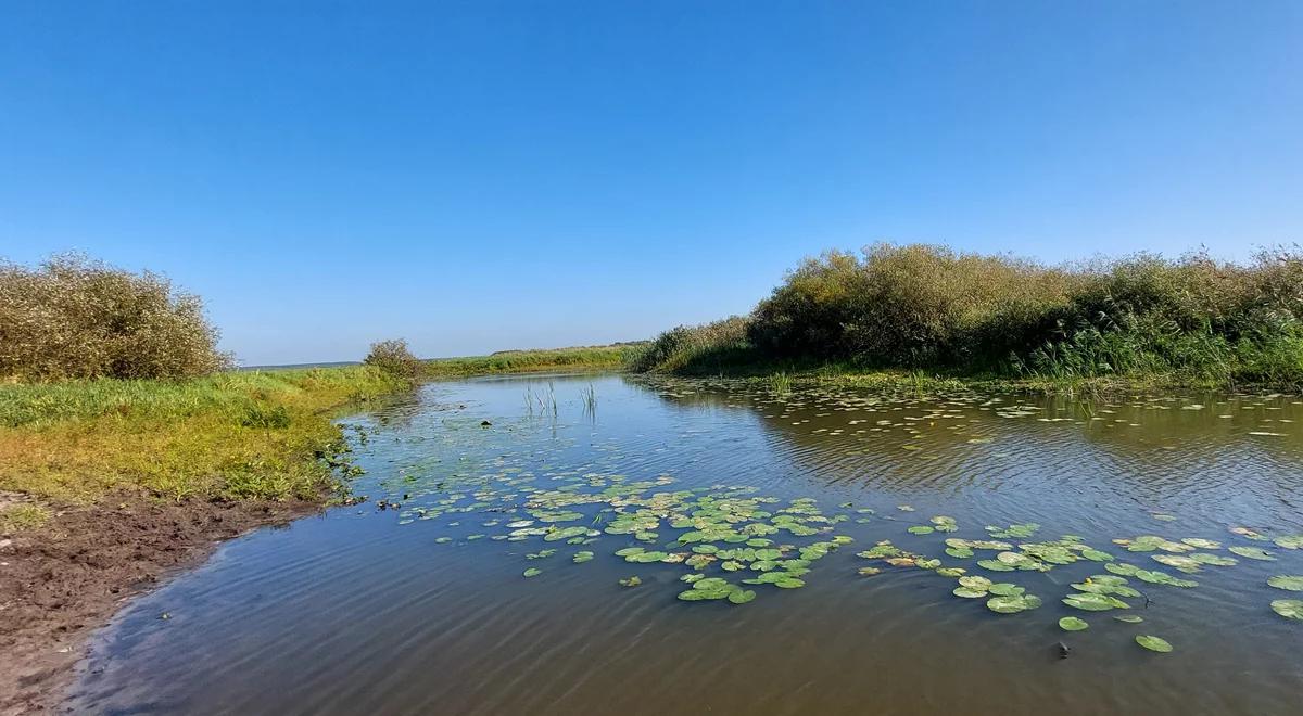"Sztuka ochrony przyrody". 25 lat działań WWF Polska