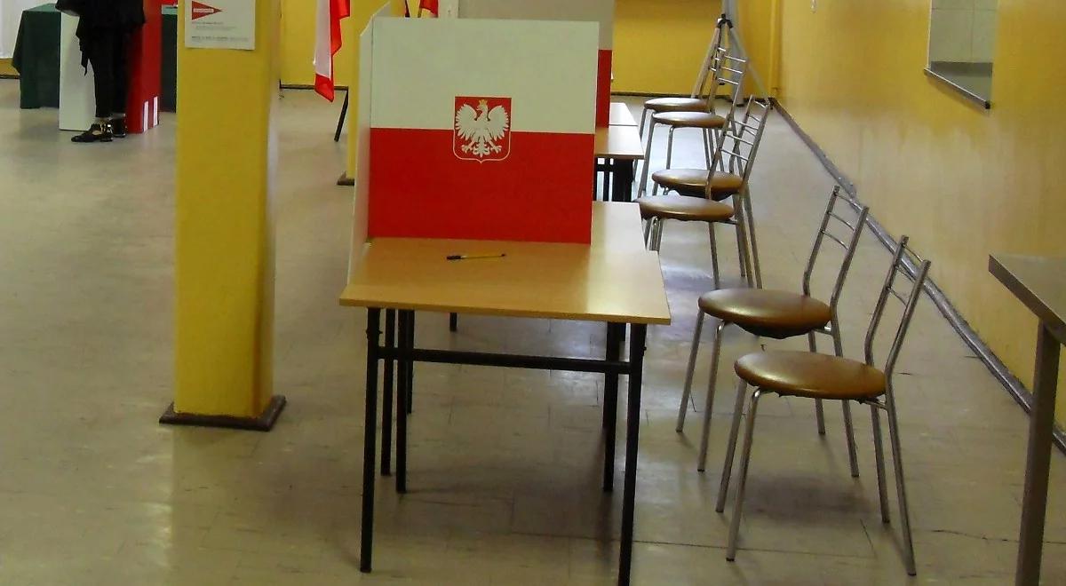 PSL: pomysł PiS dotyczący referendum "to polityczna gra"