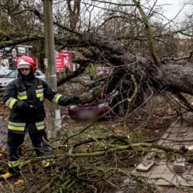 IMGW: w sobotę jeszcze powieje, w niedzielę wiatr ucichnie