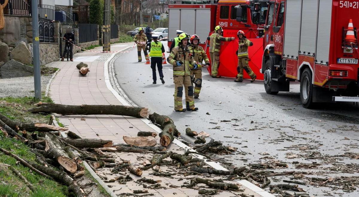 Seria tragedii spowodowanych wiatrem. Armegedon pogodowy nie odpuści. Nowe alerty IMGW