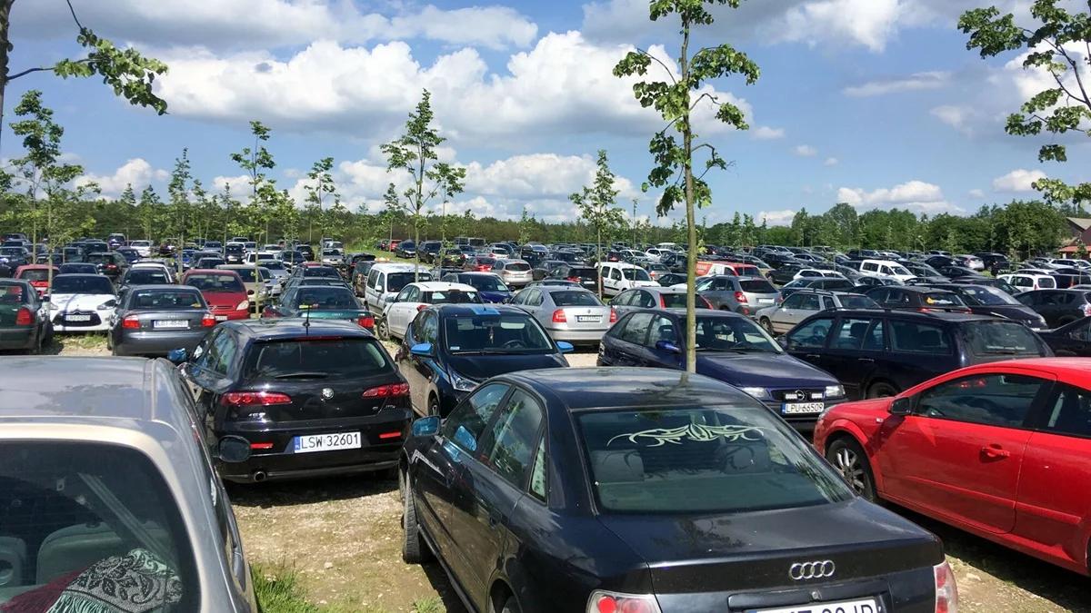 Auto za połowę ceny z urzędu skarbowego? Tak kupisz samochód po pijanym kierowcy [PORADNIK]
