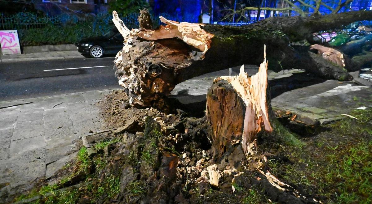 Powalone drzewa, zalane piwnice i zerwane dachy. Setki interwencji strażaków po gwałtownych wichurach